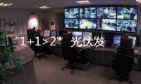 “1+1>2” 光伏发电与多元素经济结合发展